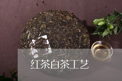 红茶白茶工艺/2023052362506