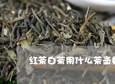 红茶白茶用什么茶壶好一点/2023042735928