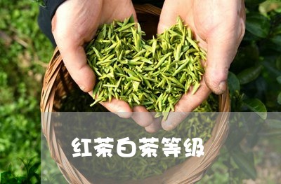 红茶白茶等级/2023052353816