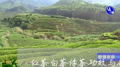 红茶白茶绿茶功效与作用/2023110329262