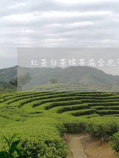 红茶白茶绿茶混合泡可以吗/2023042888269