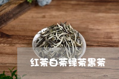 红茶白茶绿茶黑茶/2023071200605