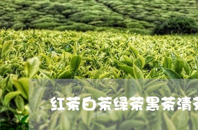 红茶白茶绿茶黑茶清茶花茶/2023042826472