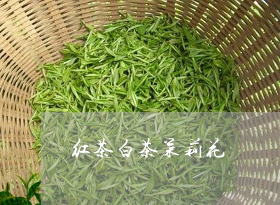 红茶白茶茉莉花/2023060873956