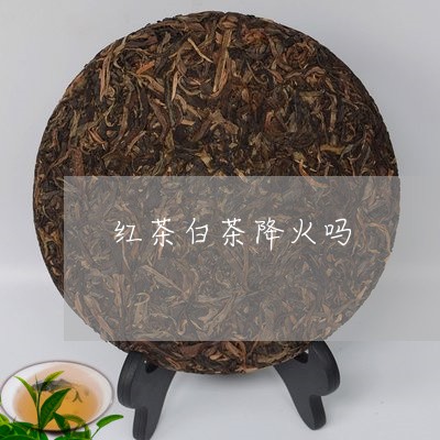 红茶白茶降火吗/2023060857361