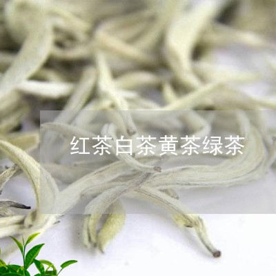 红茶白茶黄茶绿茶/2023071225158