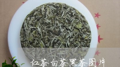 红茶白茶黑茶图片/2023071292616