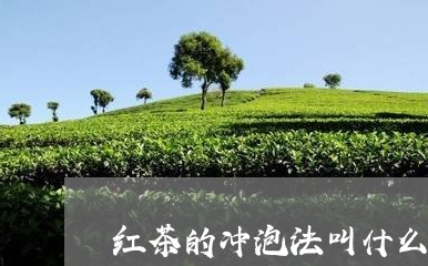 红茶的冲泡法叫什么/2023042399471