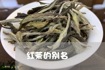 红茶的别名/2023090248049