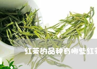 红茶的品种有哪些红茶主要品种/2023053123514