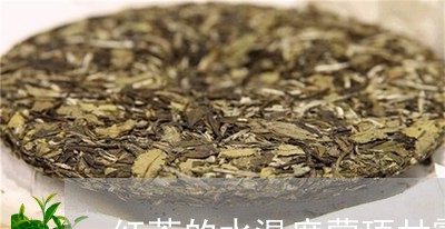 红茶的水温度蒙顶甘露泡茶水温/2023053144094