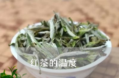 红茶的温度/2023090230514