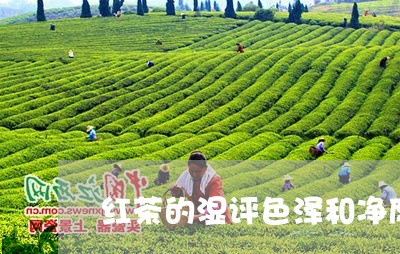 红茶的湿评色泽和净度/2023071566260