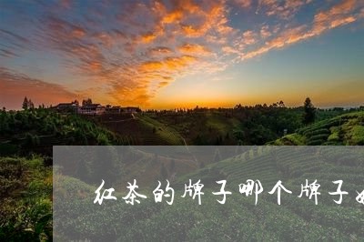 红茶的牌子哪个牌子好/2023071504027