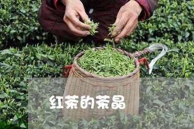 红茶的茶晶/2023090273947