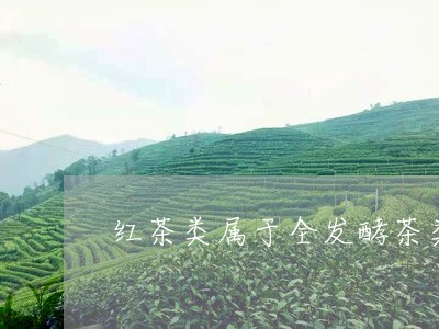 红茶类属于全发酵茶类/2023071514058