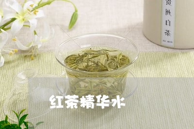 红茶精华水/2023090241828