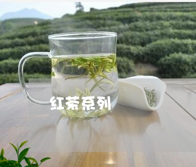 红茶系列/2023090151711