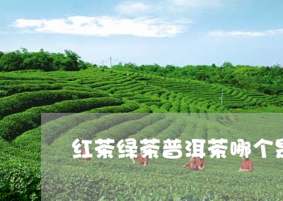 红茶绿茶普洱茶哪个是后发酵茶/2023053053626