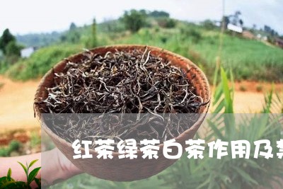 红茶绿茶白茶作用及禁忌症/2023042629583