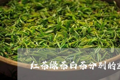 红茶绿茶白茶分别的益处/2023110379704