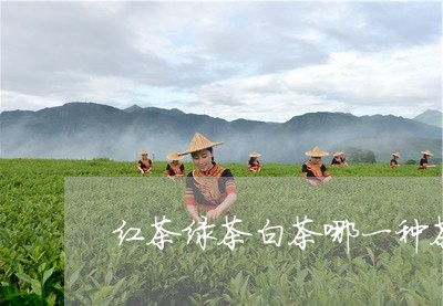 红茶绿茶白茶哪一种茶好/2023110310482