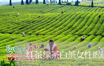 红茶绿茶白茶女性喝哪个好/2023110905027