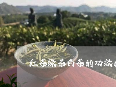 红茶绿茶白茶的功效和作用/2023110905250