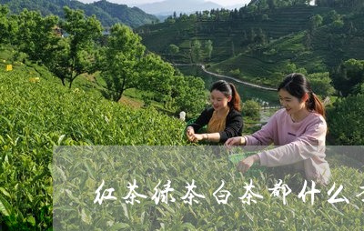 红茶绿茶白茶都什么季节喝/2023042724968