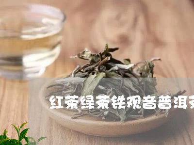 红茶绿茶铁观音普洱茶/2023080252504