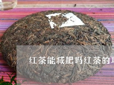 红茶能减肥吗红茶的功效和作用/2023053163917