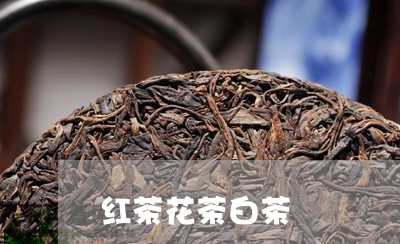 红茶花茶白茶/2023052361705