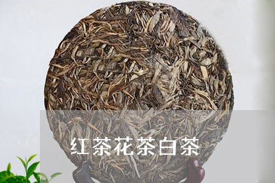 红茶花茶白茶/2023070869493