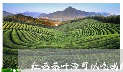 红茶茶叶渣可以吃吗红茶茶渣/2023052792716