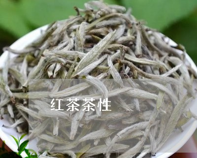 红茶茶性/2023110959581