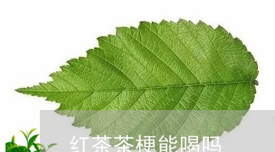 红茶茶梗能喝吗/2023042951351