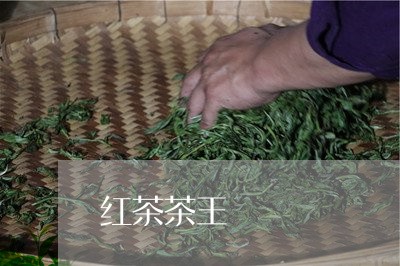 红茶茶王/2023110997393