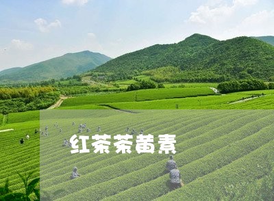 红茶茶黄素/2023090204828