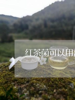 红茶菌可以用普洱茶吗/2023072138462