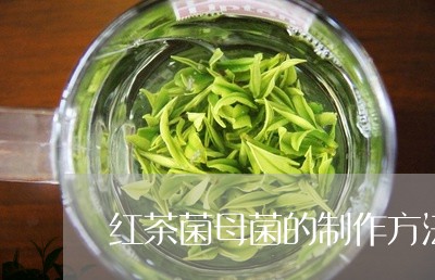 红茶菌母菌的制作方法/2023071444916