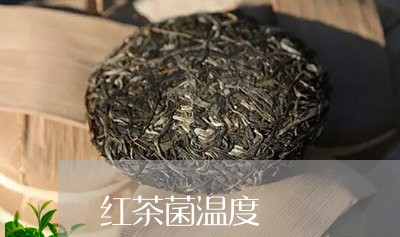 红茶菌温度/2023090236571