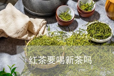 红茶要喝新茶吗/2023042924388