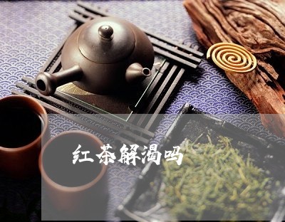 红茶解渴吗/2023110910395