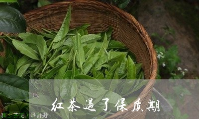 红茶过了保质期/2023042923976