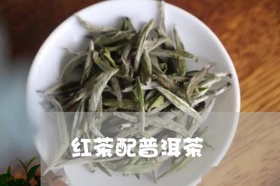 红茶配普洱茶/2023091309503