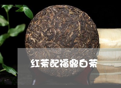 红茶配福鼎白茶/2023060861836