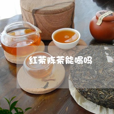 红茶陈茶能喝吗/2023042928835