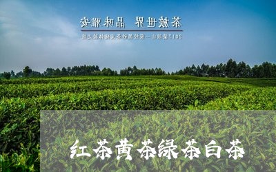 红茶黄茶绿茶白茶/2023070735138