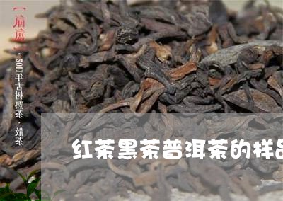 红茶黑茶普洱茶的样品/2023100777282