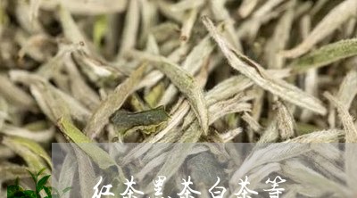 红茶黑茶白茶等/2023060808362